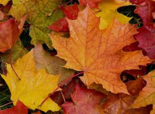 Украинцам рассказали, стоит ли ждать хороших новостей от небесной канцелярии