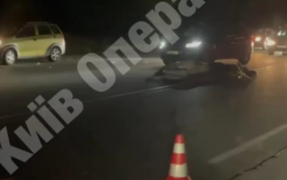 На трасі під Києвом автомобіль збив лося