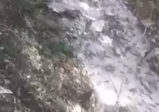 Мор рыбы зафиксирован в Винницкой области – названа причина