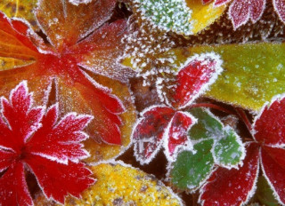 Українців попередили про неприємний погодний сюрприз на початку наступного тижня