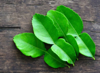 Бразильці розповіли про небувалу користь листя бергамота