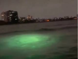 У берегов США зафиксировали кое-что очень странное