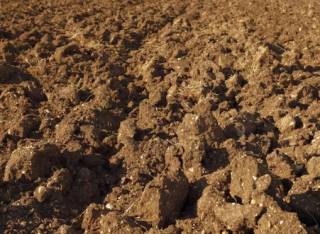 У земли обнаружили… память