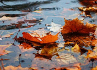 Українцям розповіли, де найближчими днями пройдуть дощі