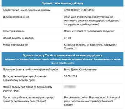 Денис Бигус, земельный участок, Борисполь