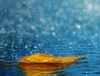 Погода в Украине ухудшится в ближайшие дни