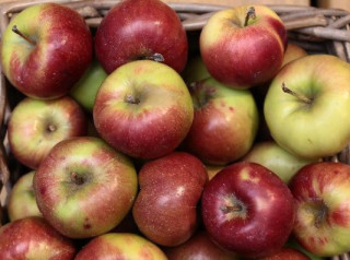 Названо овочі та фрукти, які уповільнюють розвиток вікових захворювань