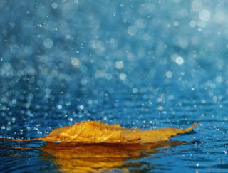 Погода в Україні погіршиться найближчими днями