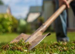 Француз нашел у себя в саду уникальный клад