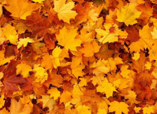 Українців чекає дуже тепла погода – прогноз синоптиків