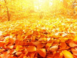 У вихідні на українців чекає дуже різнопланова погода