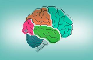 Немцы узнали о нашем интеллекте нечто новое