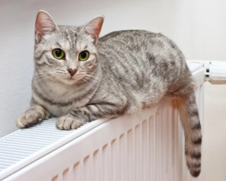 Озвучено поточну ситуацію з опаленням в Україні