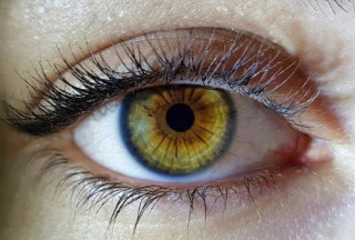 Британці відкрили у людини сьоме почуття