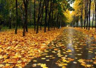 Погода в Україні ще більше погіршиться найближчими днями