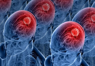 Італійці нарешті з'ясували, у чому суть людського інтелекту