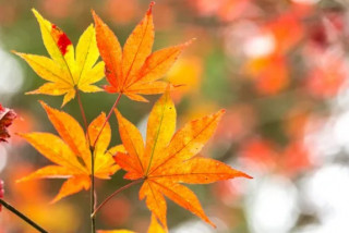 Наприкінці робочого тижня на українців чекає неоднозначна погода