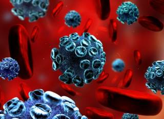 В Германии впервые за долгое время выявили страшную заразу