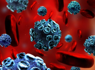 У Німеччині вперше за довгий час виявили страшну заразу