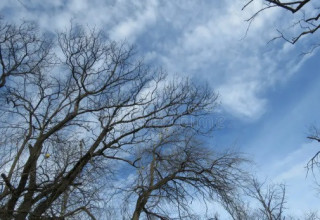 Найближчими днями на українців чекає холодна погода