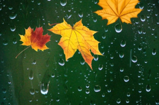 Українців чекає вкрай неприємна погода