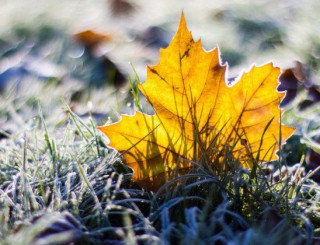 В Україну продовжує вриватися зима