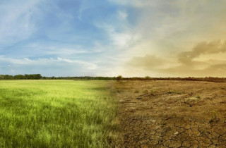 Когда природа меняет правила: как климатические аномалии становятся новой нормой