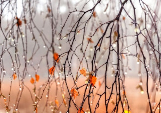 Наприкінці робочого тижня на українців чекає неприємна погода