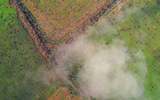 Збитки навколишньому середовищу від війни перевищили ₴6 трлн.