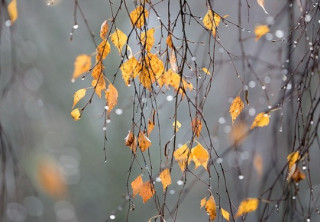Синоптики пообіцяли українцям суху погоду найближчими вихідними