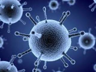 Озвучена текущая ситуация с гриппом и ОРВИ в Украине