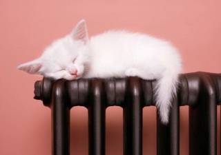 Проблемы с отоплением в Киеве: озвучена текущая ситуация