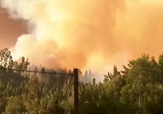Чилі охопили епічні лісові пожежі