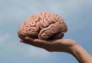 Ученые поведали, как легко омолодить мозг