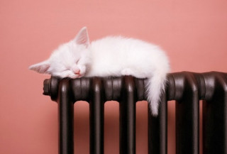 Зеленський наголосив на проблемах з опаленням у Києві