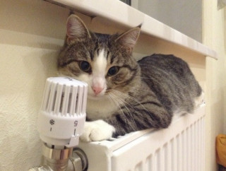 В уряді назвали кількість будинків у Києві, які залишаються без тепла