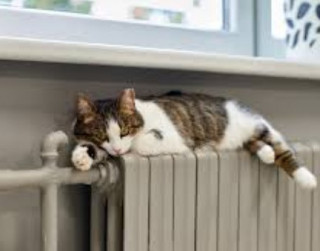 Троєщині нарешті повернули опалення