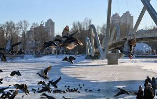 Сегодня в Киеве будет один из самых теплых дней недели