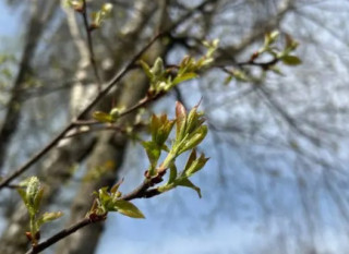 Українцям розповіли, чого чекати від погоди 3 березня