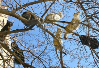 Украинцам рассказали, какой будет погода 7 марта