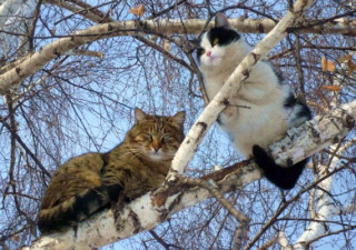 Украинцам рассказали о погоде на 13 марта