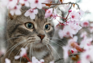 Март в Киеве запомнился аномальной погодой