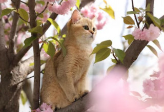 Украинцам рассказали, какой будет погода 4 апреля