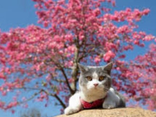 Украинцам рассказали о погоде на 22 апреля