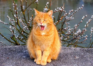 Украинцам рассказали о погоде на 25 апреля