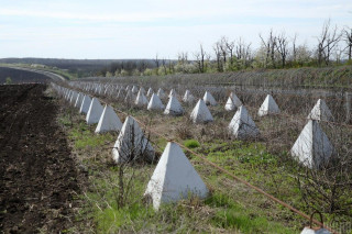 Украина усиливает оборону на границе с Приднестровьем